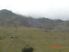 2005-10-31-MP-015.jpg (35750 bytes)