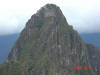 2005-10-31-MP-080.jpg (45728 bytes)
