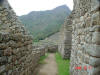 2005-10-31-MP-122.jpg (77587 bytes)