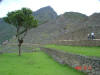 2005-10-31-MP-146.jpg (62098 bytes)