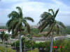 2006-04-23-MA-10.jpg (72962 bytes)