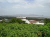 2006-04-23-MA-23.jpg (66077 bytes)