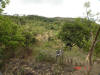 2006-05-07-MA-08.jpg (89493 bytes)