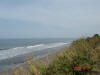 2006-05-28-MA-044.jpg (51717 bytes)