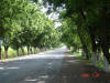 2006-05-28-MA-084.jpg (98669 bytes)