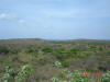 2006-05-28-MA-085.jpg (55633 bytes)