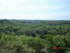 2006-05-28-MA-088.jpg (70516 bytes)