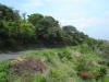2006-05-28-MA-095.jpg (80268 bytes)
