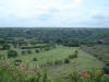 2006-05-28-MA-098.jpg (64324 bytes)