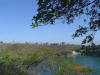 2007-02-04-MA-36.jpg (72401 bytes)