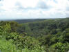 2007-07-28-NI-006.jpg (84521 bytes)