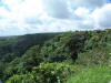 2007-07-28-NI-007.jpg (85676 bytes)