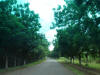2007-07-28-NI-044.jpg (74386 bytes)