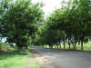 2007-07-28-NI-049.jpg (100458 bytes)