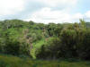 2007-07-28-NI-121.jpg (70451 bytes)