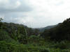 2007-07-28-NI-127.jpg (51828 bytes)