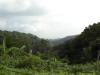 2007-07-28-NI-128.jpg (59866 bytes)