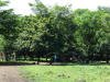 2007-07-29-NI-37.jpg (113541 bytes)