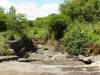 2007-07-29-NI-47.jpg (100328 bytes)