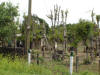 2007-07-29-NI-81.jpg (94632 bytes)