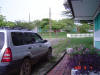 2008-10-05-NI-023.jpg (60285 bytes)