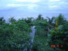 2008-10-05-NI-038.jpg (64837 bytes)