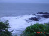 2008-10-05-NI-041.jpg (48123 bytes)