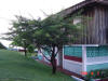 2008-10-05-NI-049.jpg (68322 bytes)