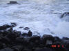 2008-10-05-NI-054.jpg (56540 bytes)