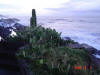 2008-10-05-NI-060.jpg (58801 bytes)