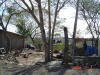 2009-02-07-NI-019.jpg (101595 bytes)