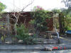 2009-02-07-NI-024.jpg (83581 bytes)