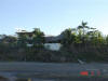 2009-02-07-NI-041.jpg (40724 bytes)