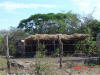 2009-02-07-NI-150.jpg (87671 bytes)