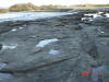 2009-02-07-NI-030.jpg (62855 bytes)