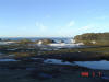 2009-02-07-NI-039.jpg (43272 bytes)