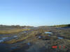 2009-02-07-NI-040.jpg (41094 bytes)