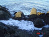 2009-02-07-NI-048.jpg (78921 bytes)