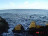 2009-02-07-NI-049.jpg (58281 bytes)