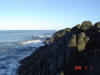 2009-02-07-NI-050.jpg (44827 bytes)