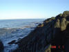 2009-02-07-NI-053.jpg (48059 bytes)
