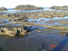 2009-02-07-NI-056.jpg (68697 bytes)
