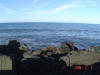 2009-02-07-NI-071.jpg (50266 bytes)