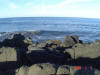 2009-02-07-NI-072.jpg (58604 bytes)