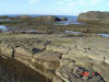 2009-02-07-NI-081.jpg (75902 bytes)