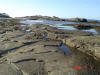 2009-02-07-NI-082.jpg (75705 bytes)