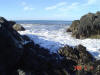2009-02-07-NI-085.jpg (55107 bytes)