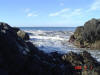 2009-02-07-NI-087.jpg (50889 bytes)