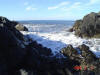 2009-02-07-NI-088.jpg (55831 bytes)