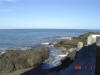 2009-02-07-NI-098.jpg (42504 bytes)